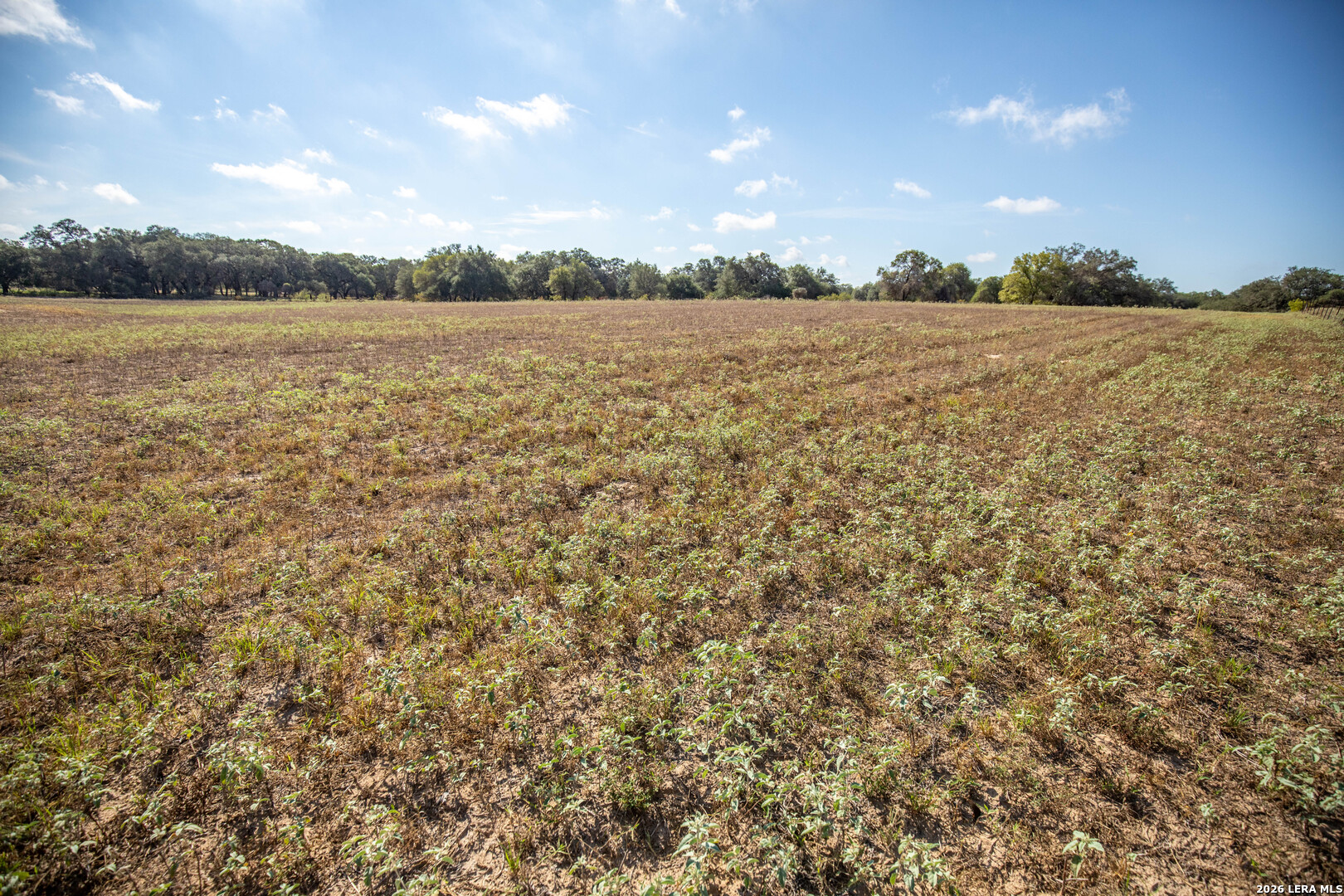 23383 Mathis Elmendorf TX 78112