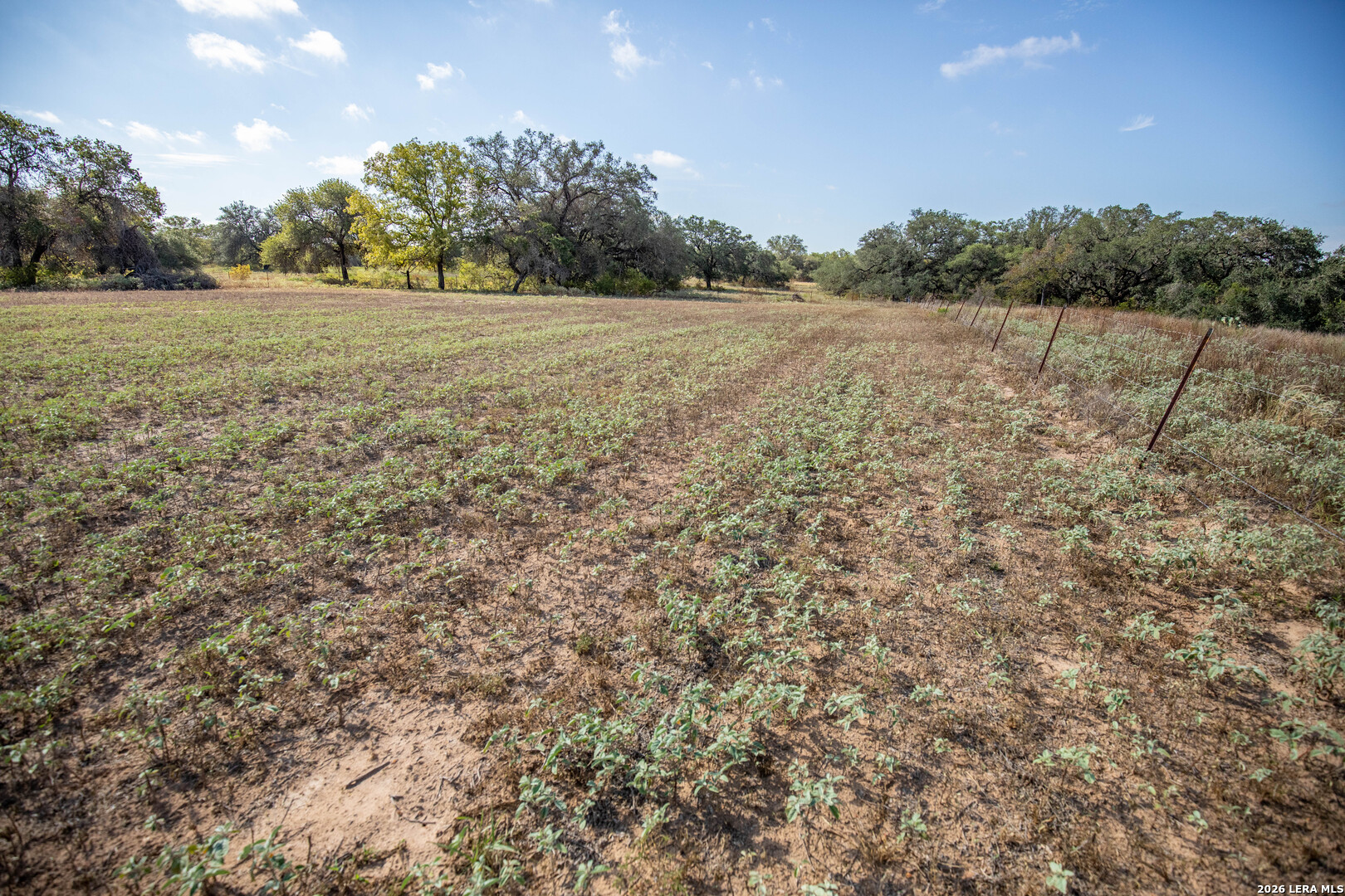 23383 Mathis Elmendorf TX 78112