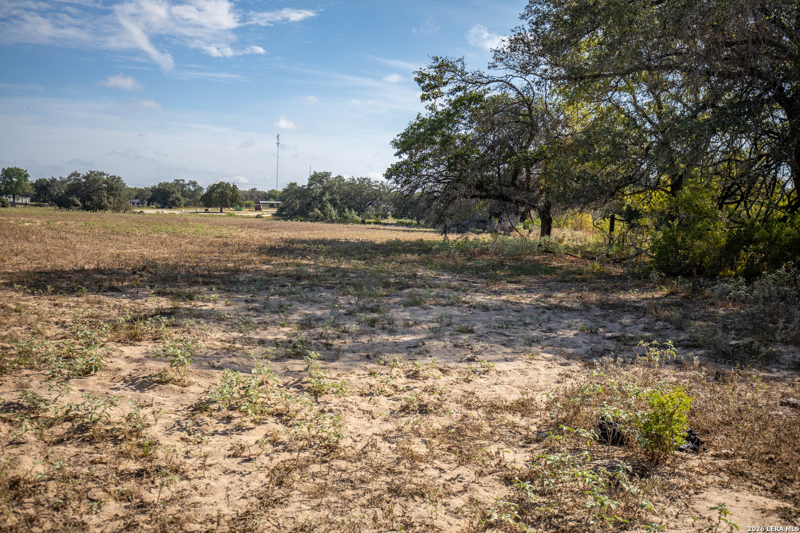 23383 Mathis Elmendorf TX 78112