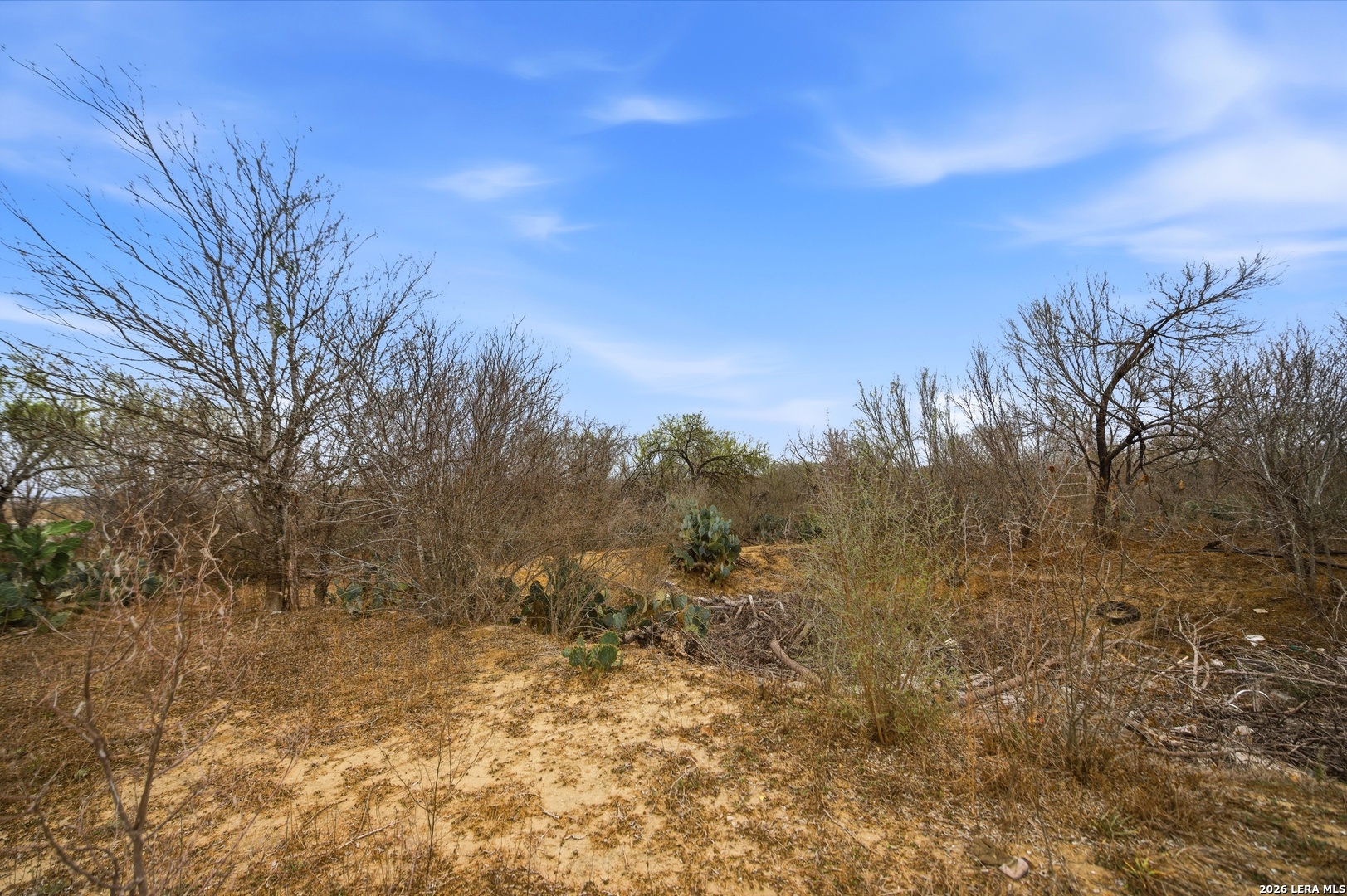 4988 S Loop 1604 E Elmendorf TX 78112