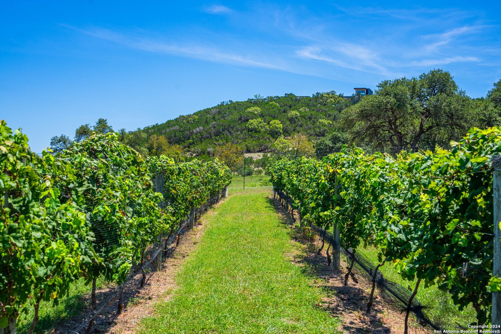 5081 Texas 173 Center Point TX 78010