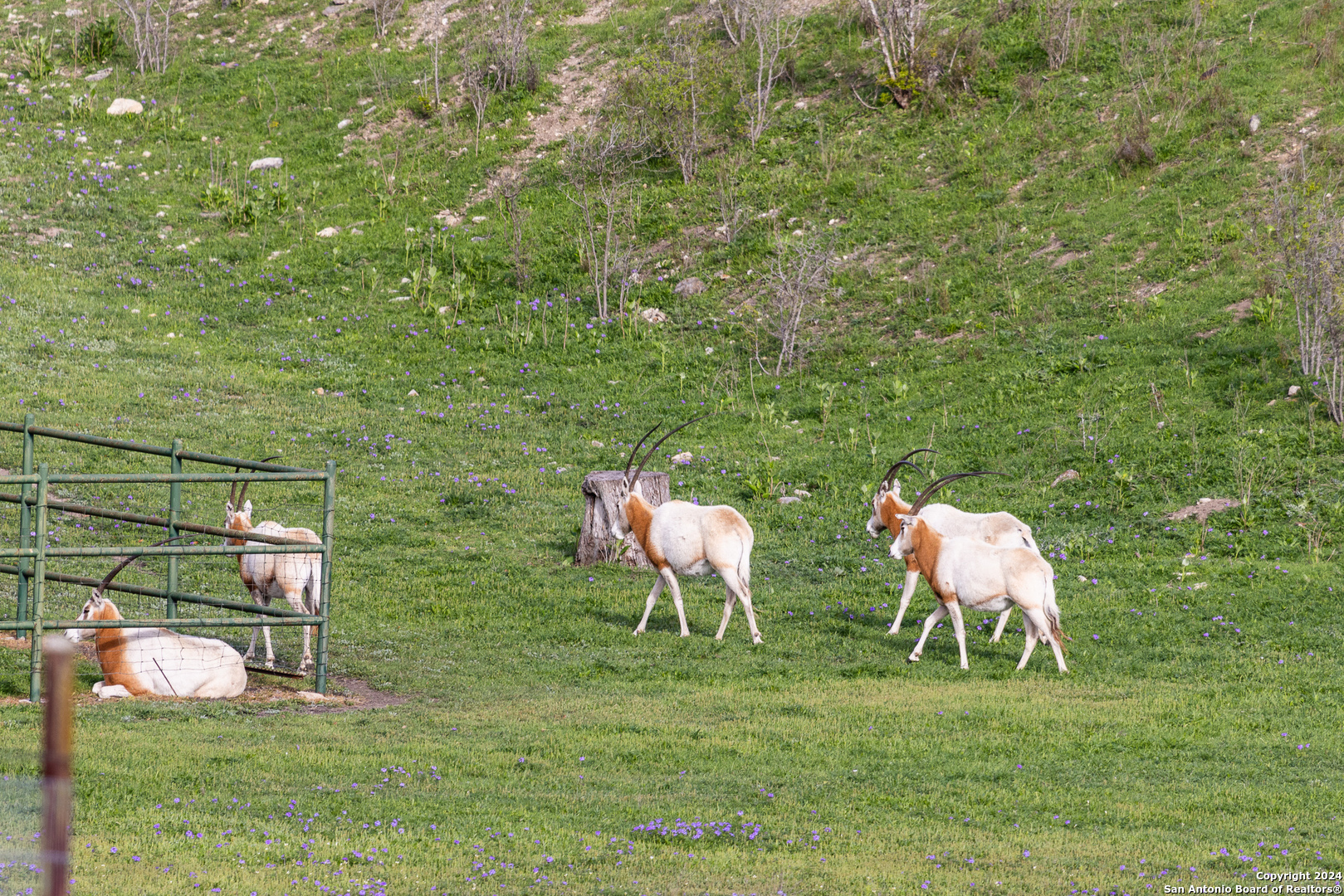 5081 Texas 173 Center Point TX 78010