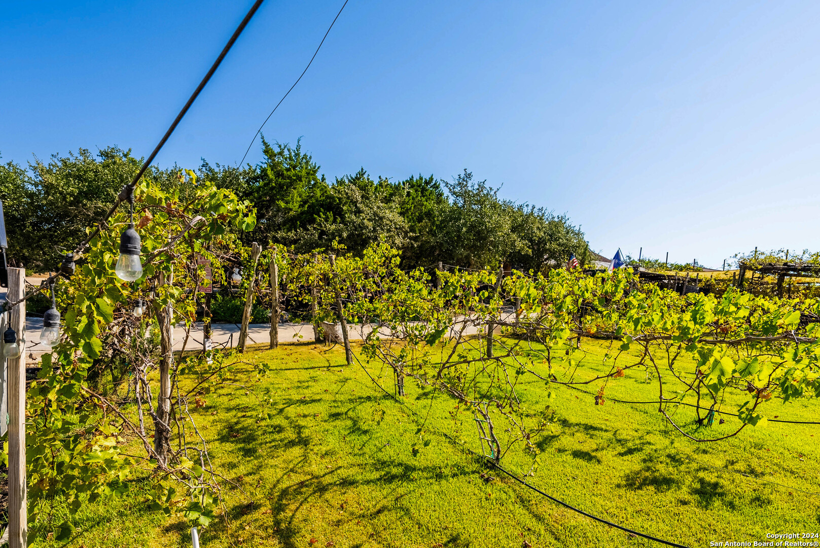 27490 Smithson Valley Road San Antonio TX 78261