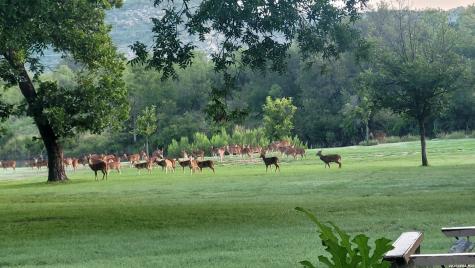 6720 W Ranch Road 1674 Junction TX 76849