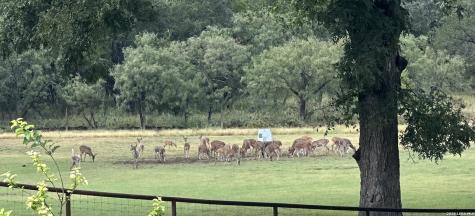 6720 W Ranch Road 1674 Junction TX 76849