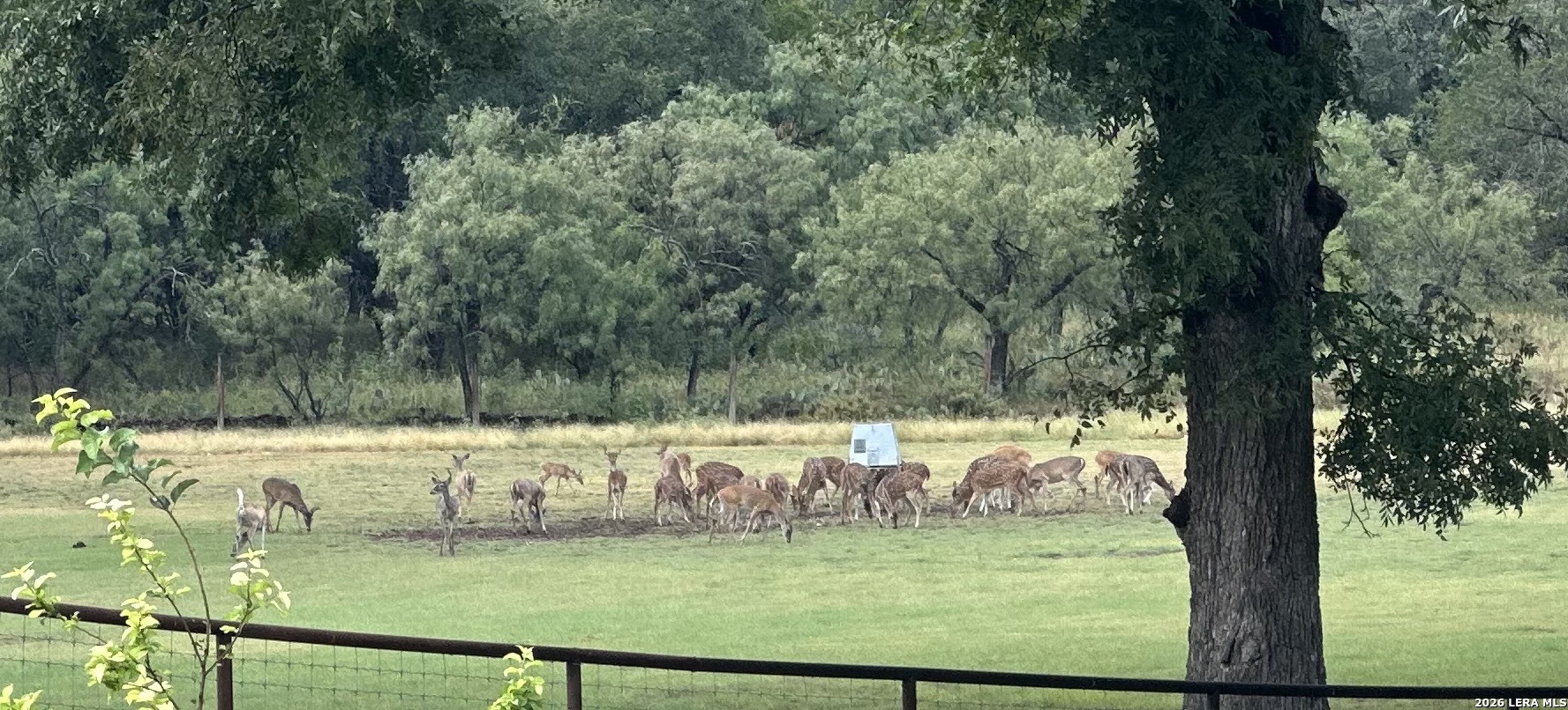 6720 W Ranch Road 1674 Junction TX 76849