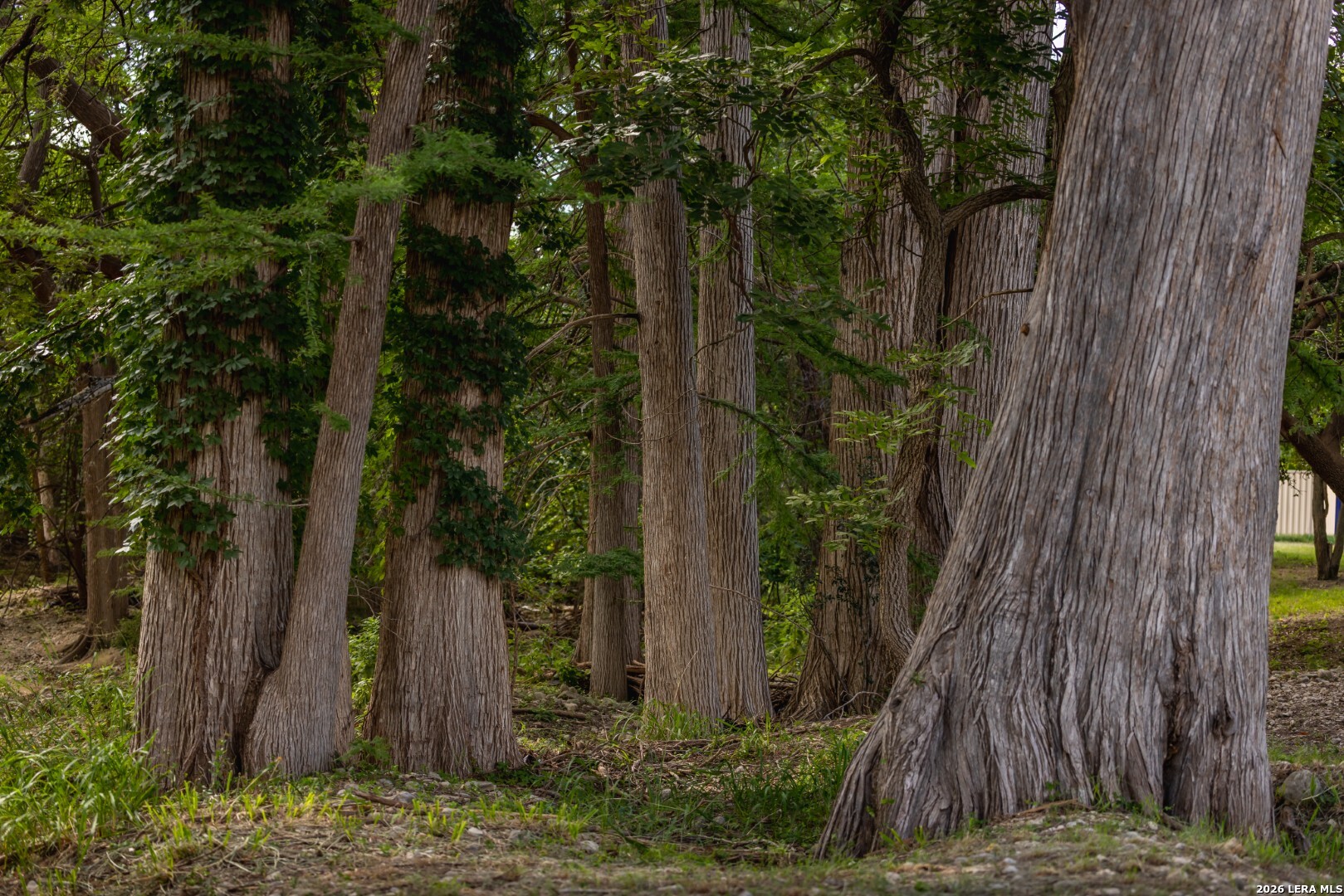 50500 Interstate 10 Comfort TX 78013