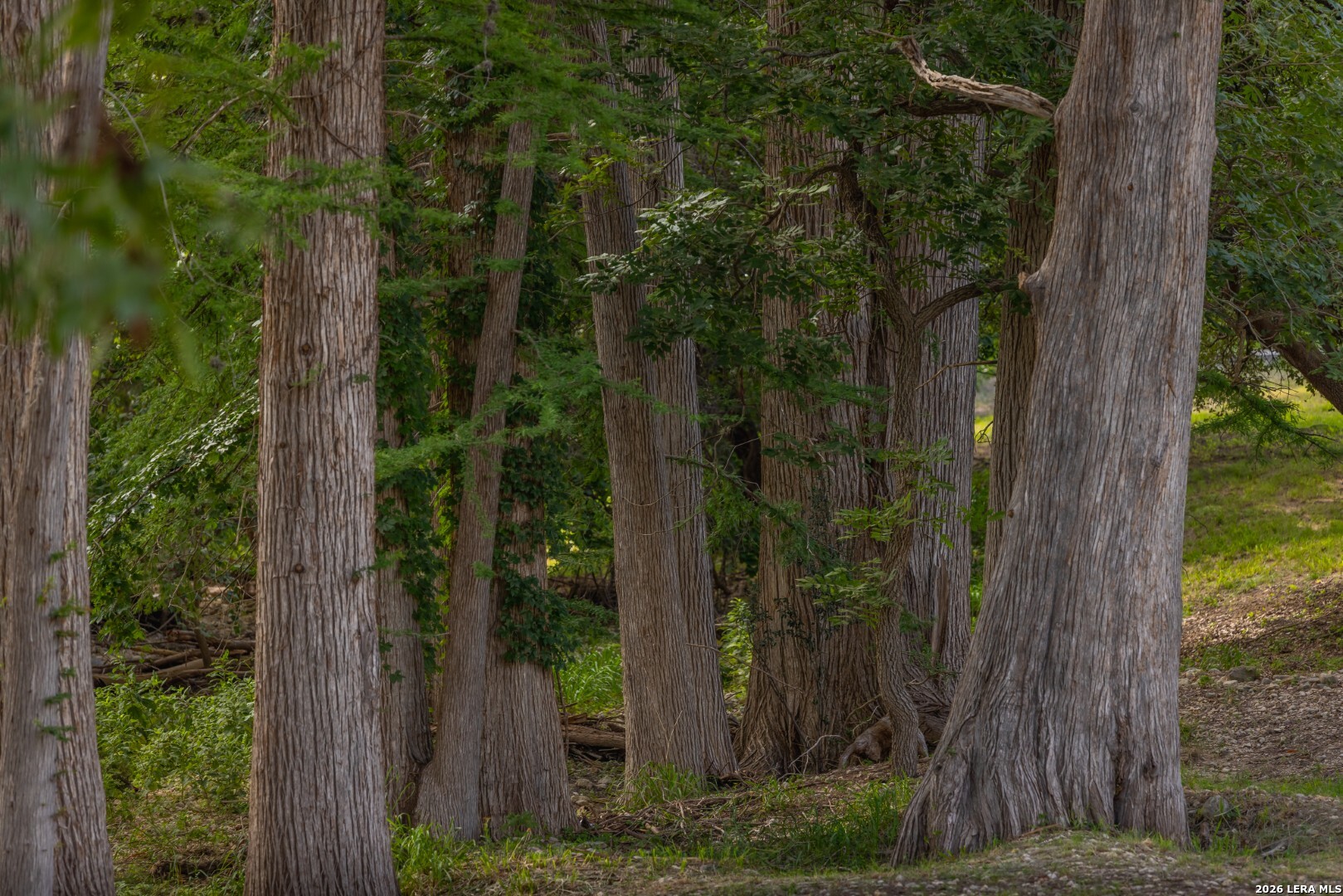 50500 Interstate 10 Comfort TX 78013