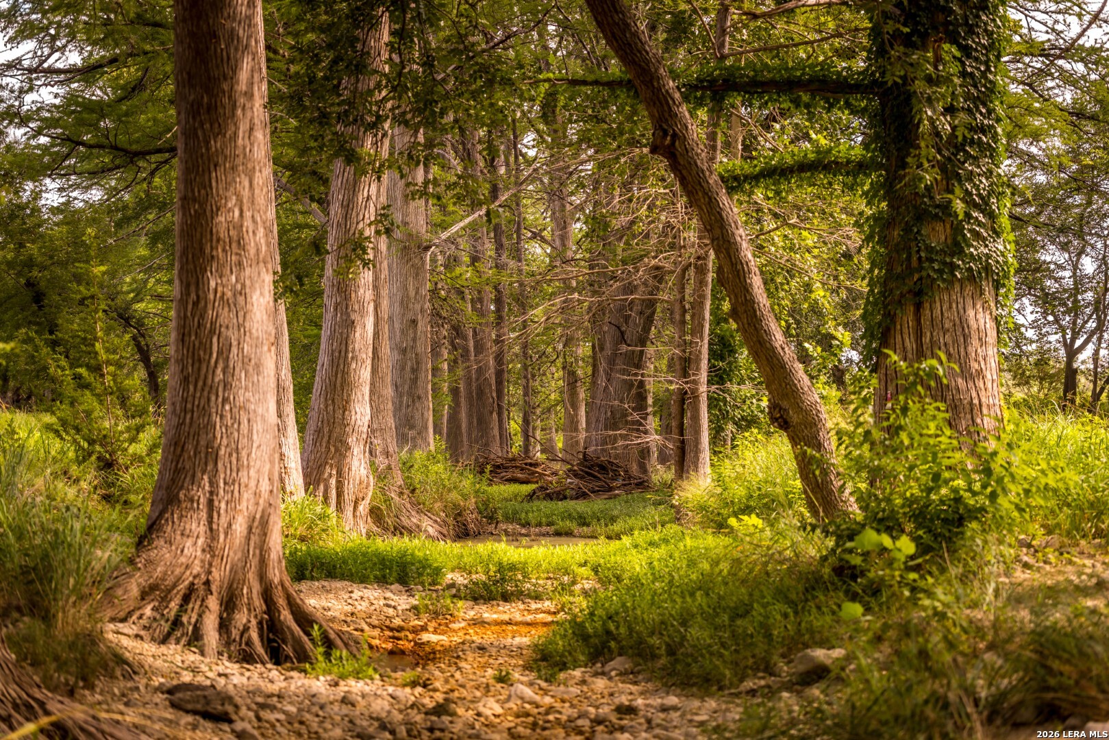 50500 Interstate 10 Comfort TX 78013