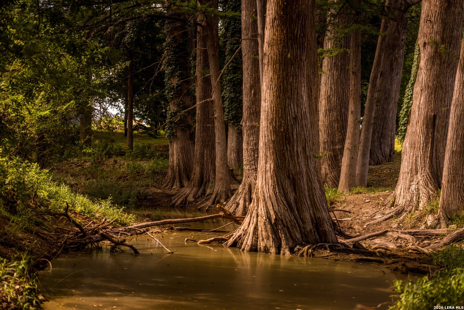 50500 Interstate 10 Comfort TX 78013