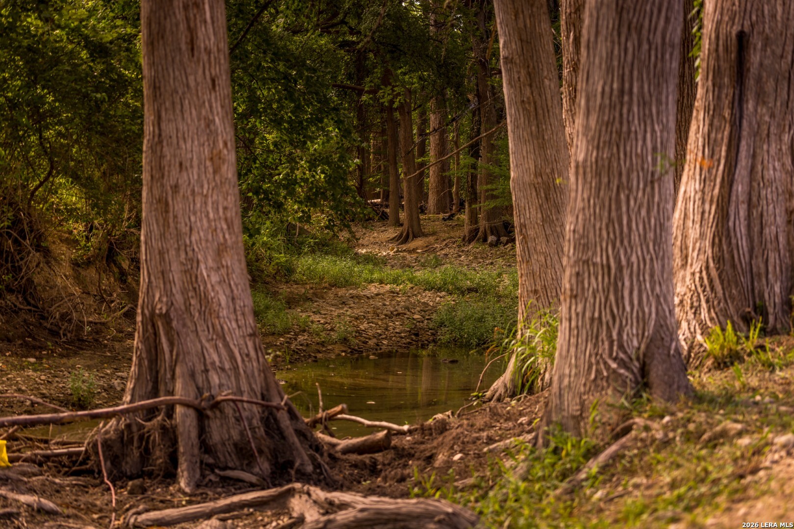 50500 Interstate 10 Comfort TX 78013