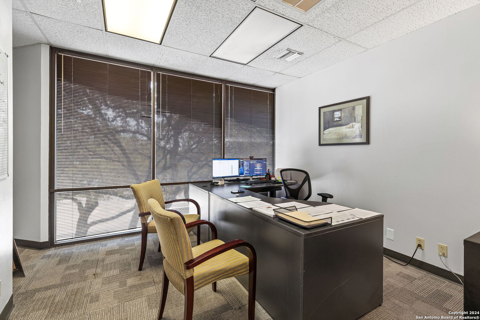 5545 Fredericksburg Road San Antonio TX 78229