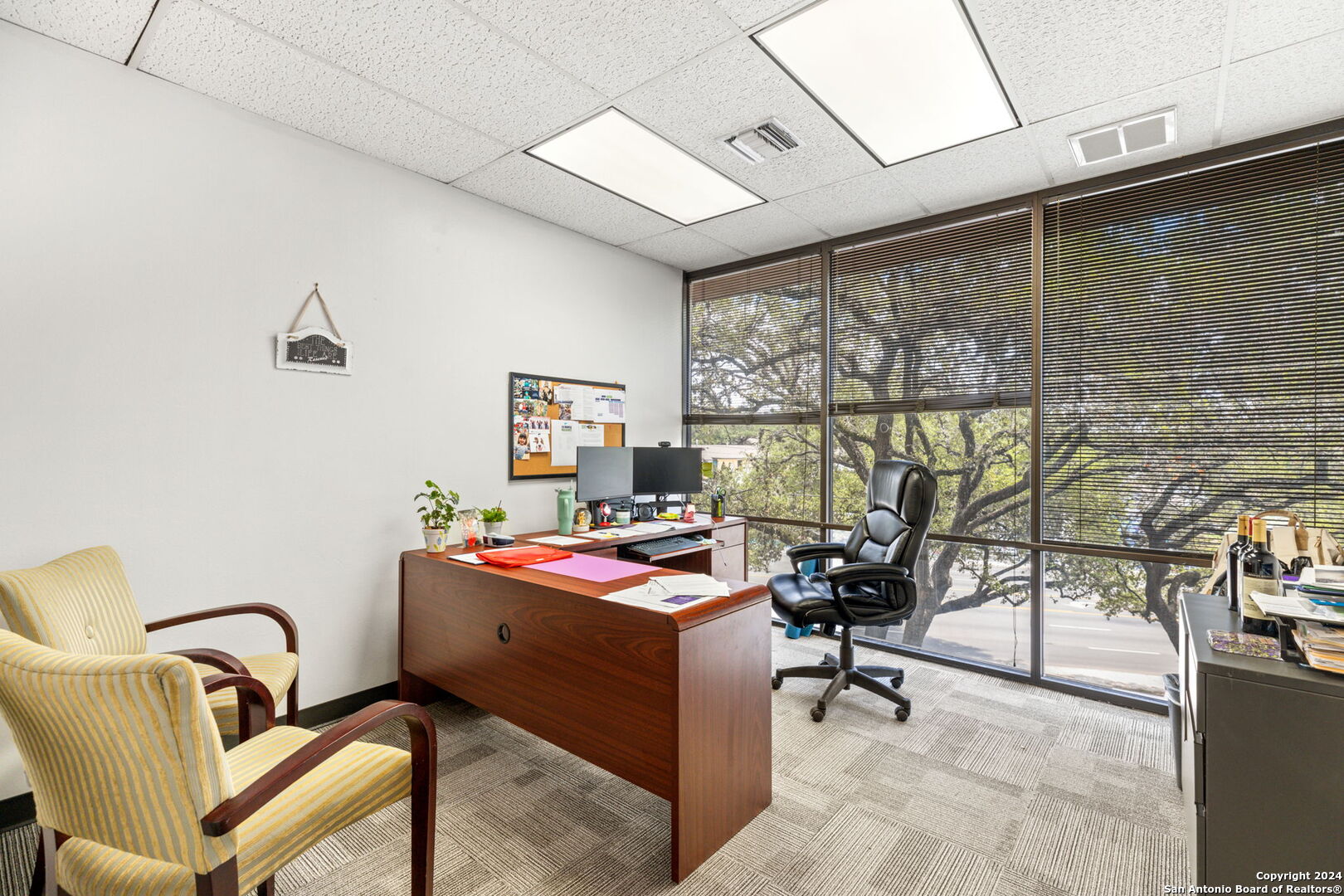 5545 Fredericksburg Road San Antonio TX 78229