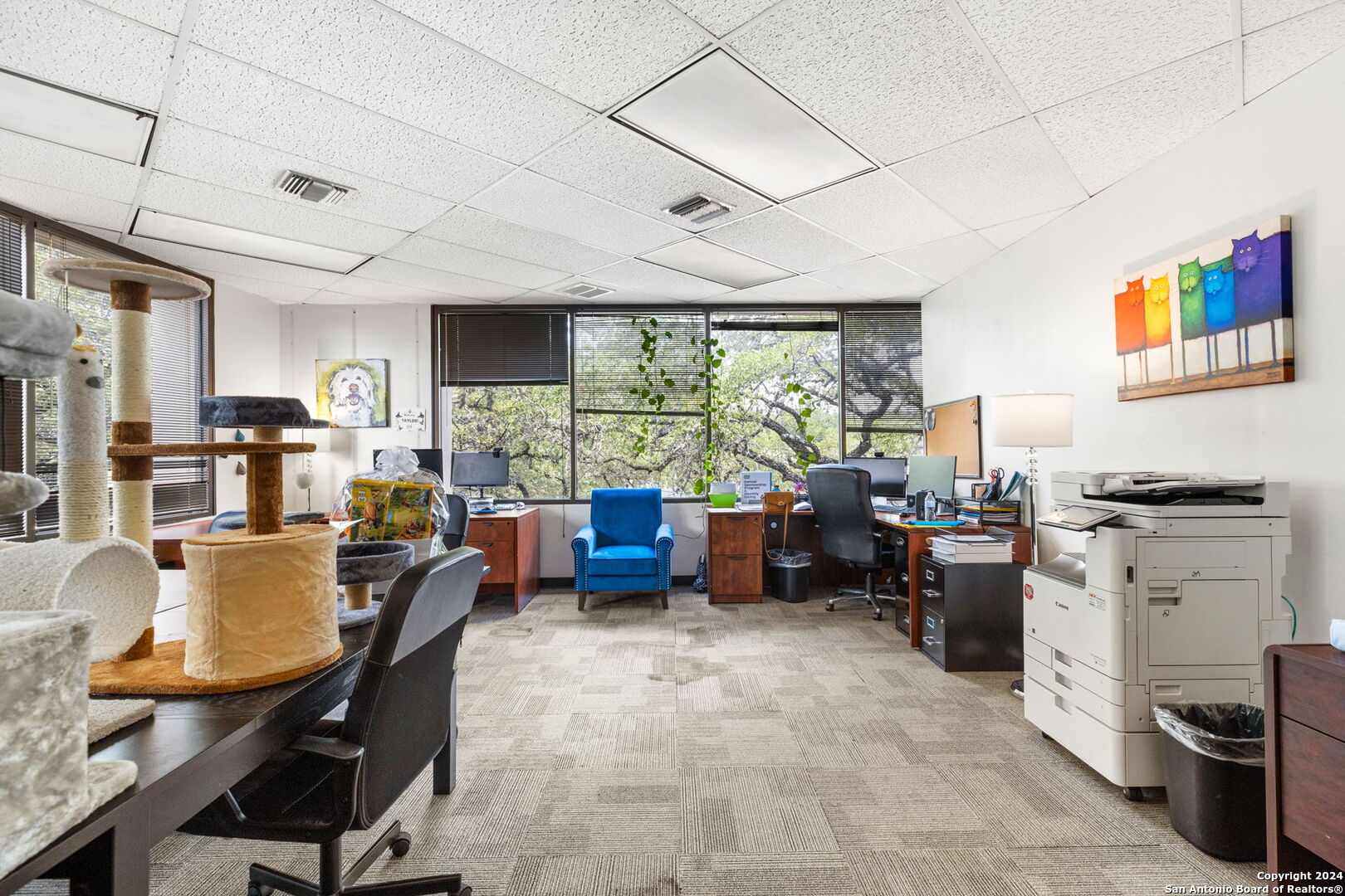 5545 Fredericksburg Road San Antonio TX 78229