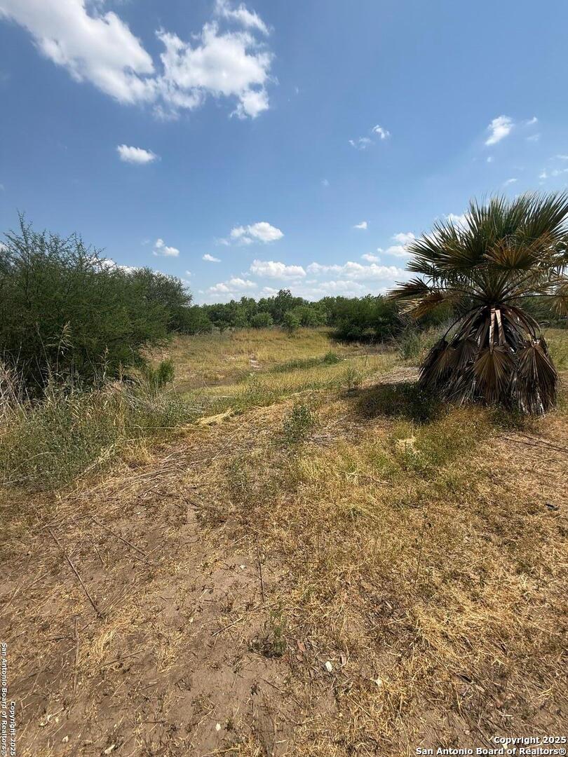 806 State Highway 132 Natalia TX 78059