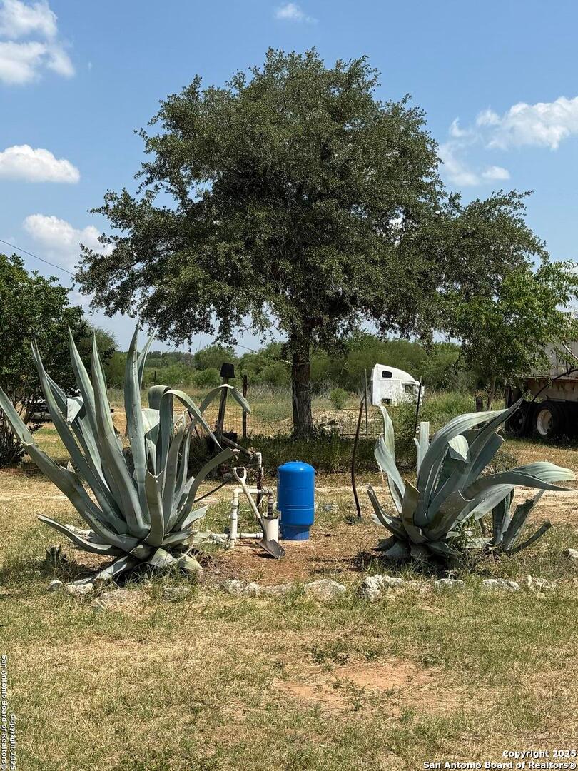 806 State Highway 132 Natalia TX 78059