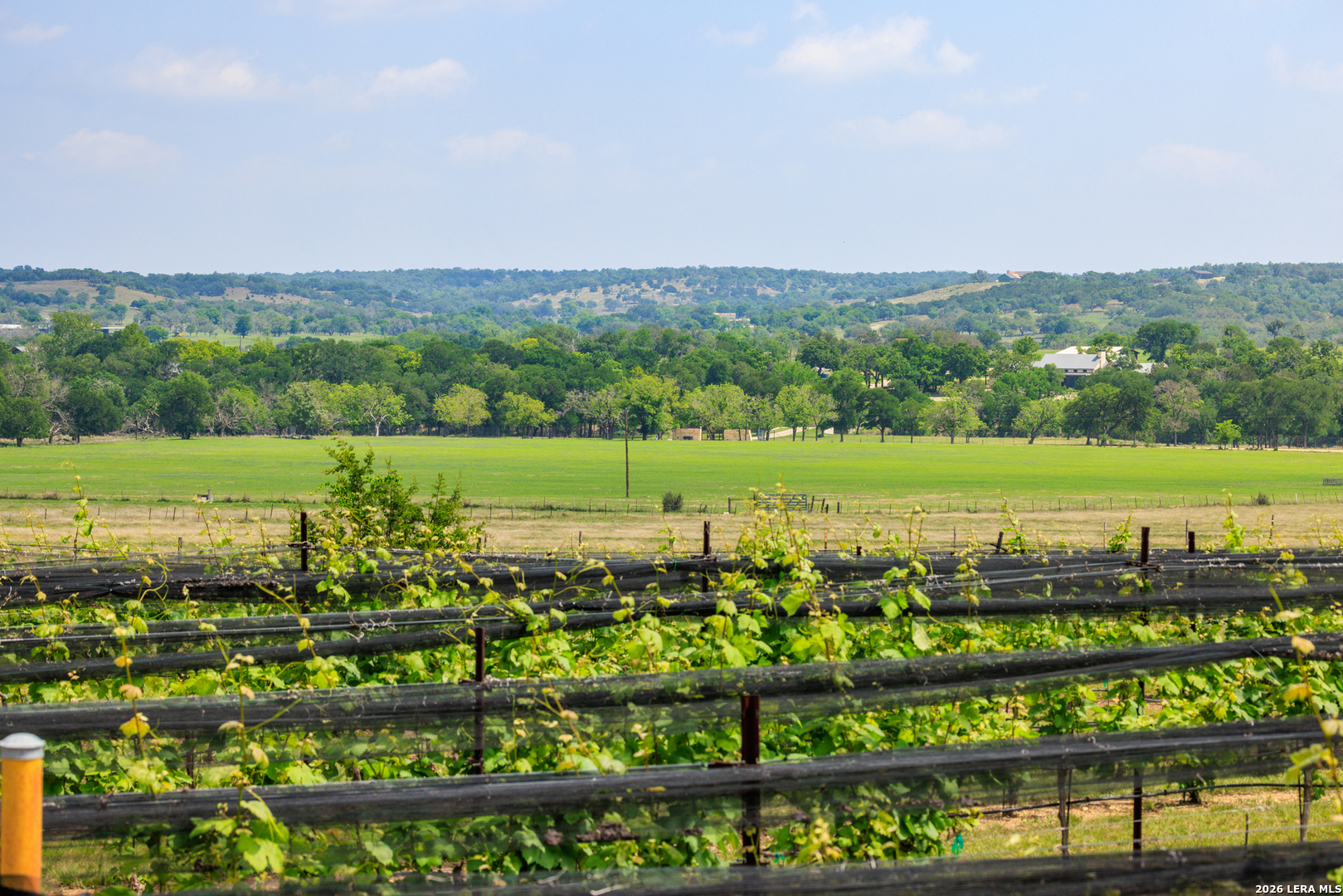 3750 Grapetown Road Fredericksburg TX 78624