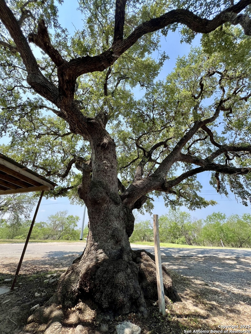 2636 County Road 128 Floresville TX 78114