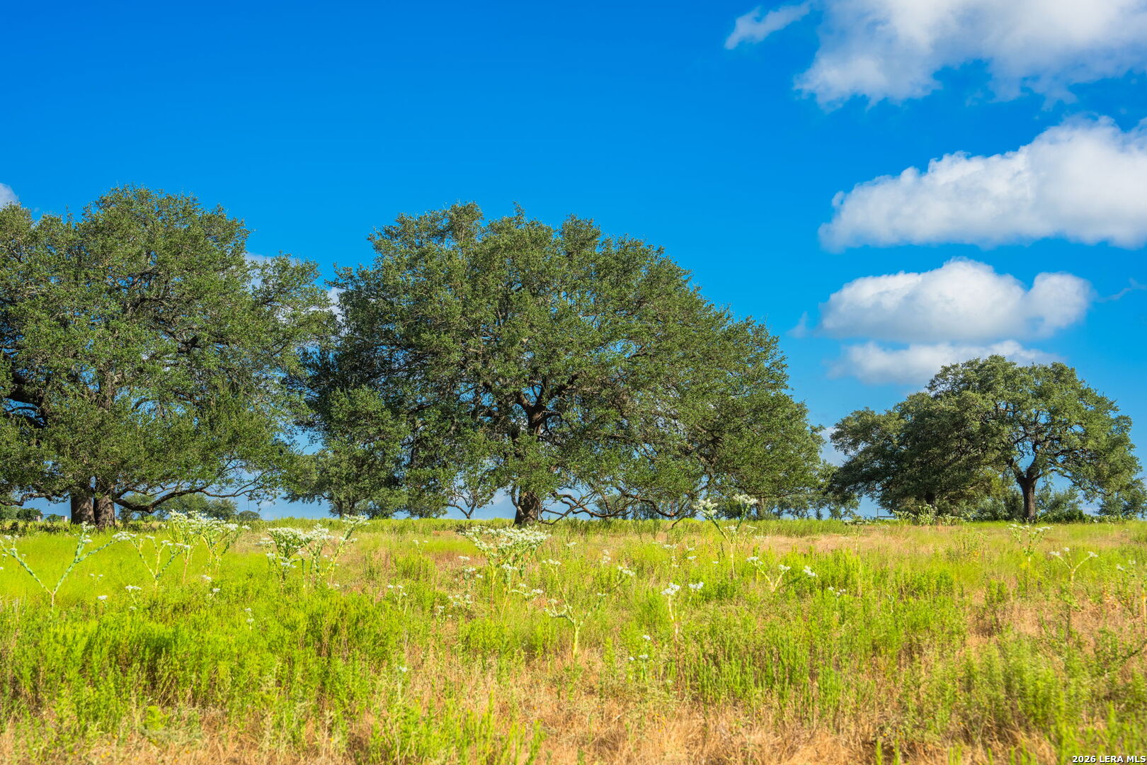 5541 W Us Highway 290 Johnson City TX 78636
