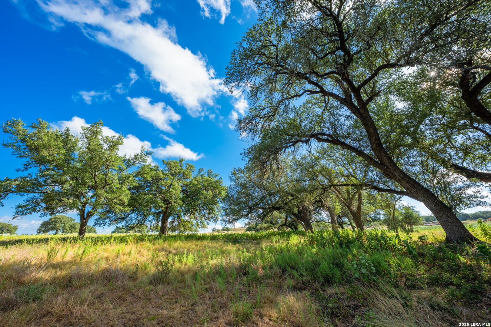 5541 W Us Highway 290 Johnson City TX 78636