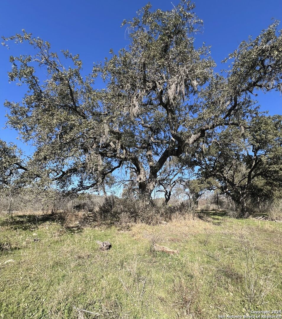 9565 Fm 1102 New Braunfels TX 78130