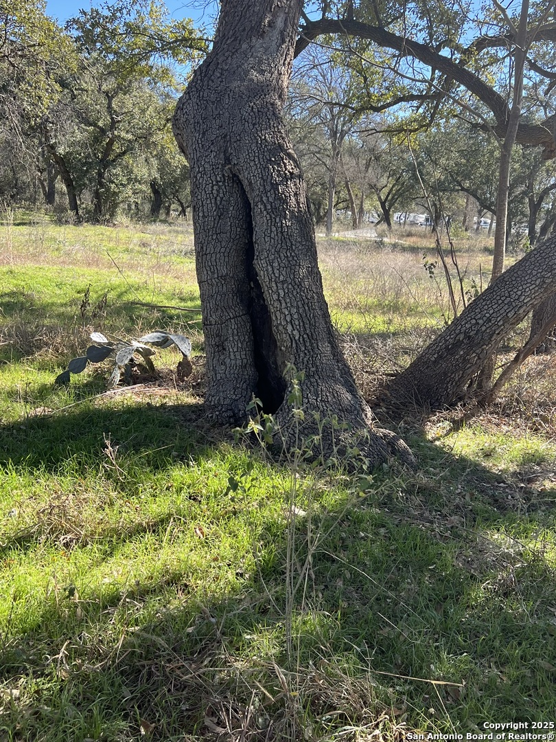 9565 Fm 1102 New Braunfels TX 78130