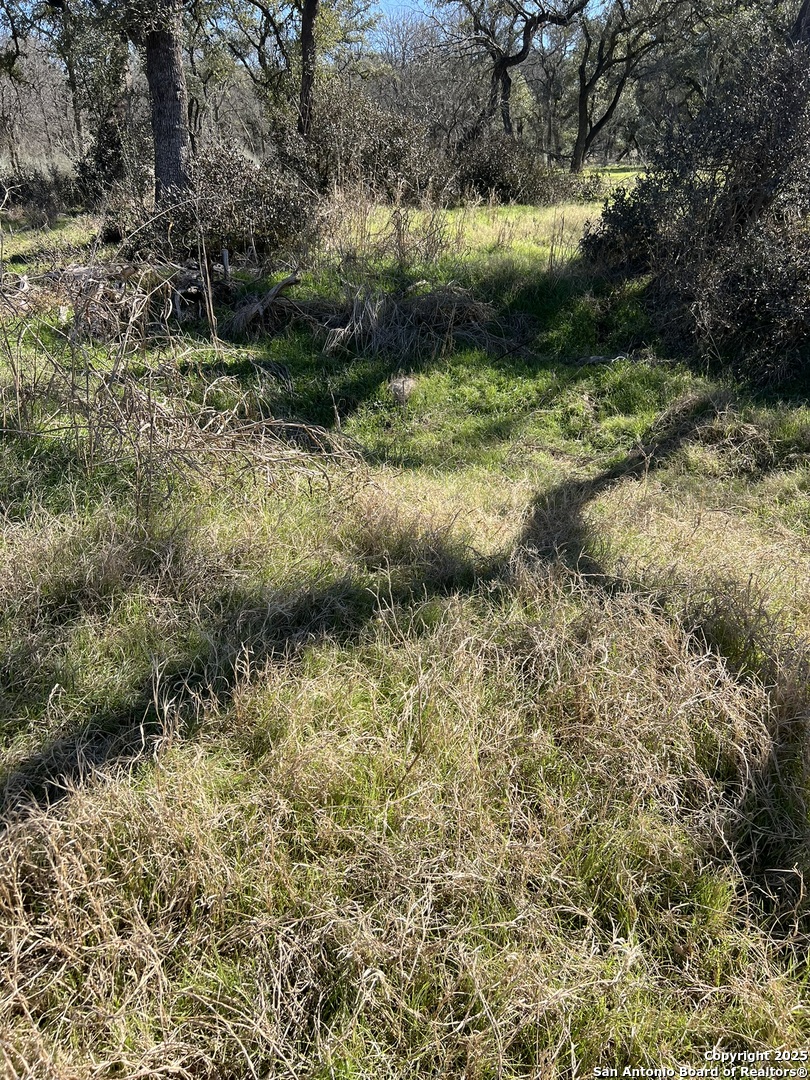 9565 Fm 1102 New Braunfels TX 78130