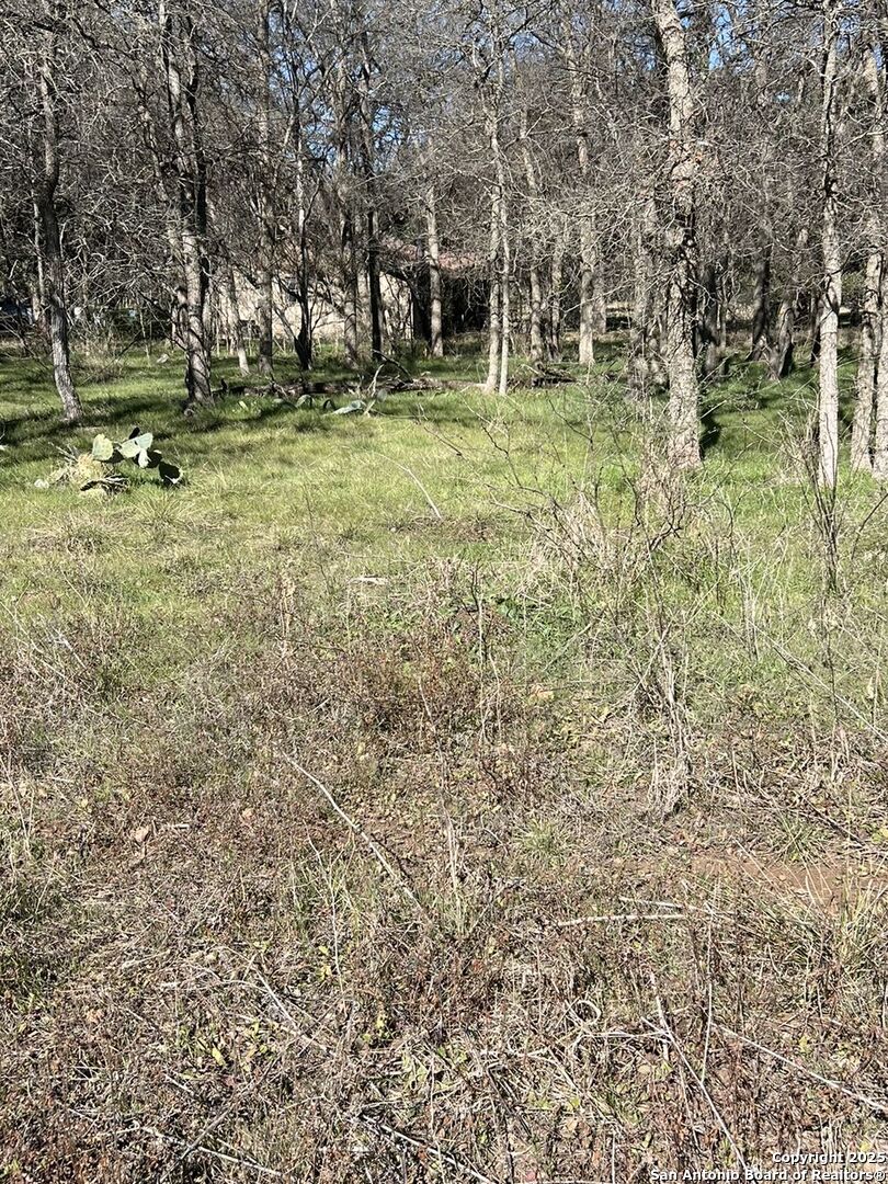 9565 Fm 1102 New Braunfels TX 78130