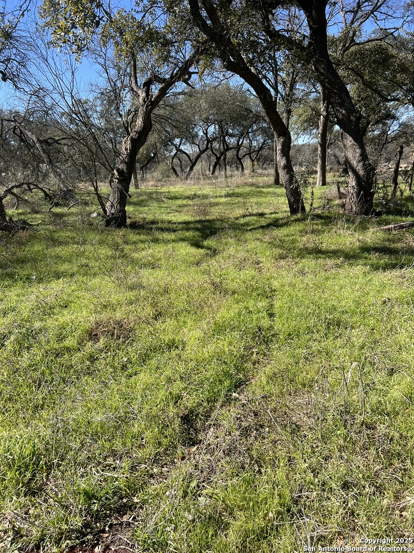 9565 Fm 1102 New Braunfels TX 78130