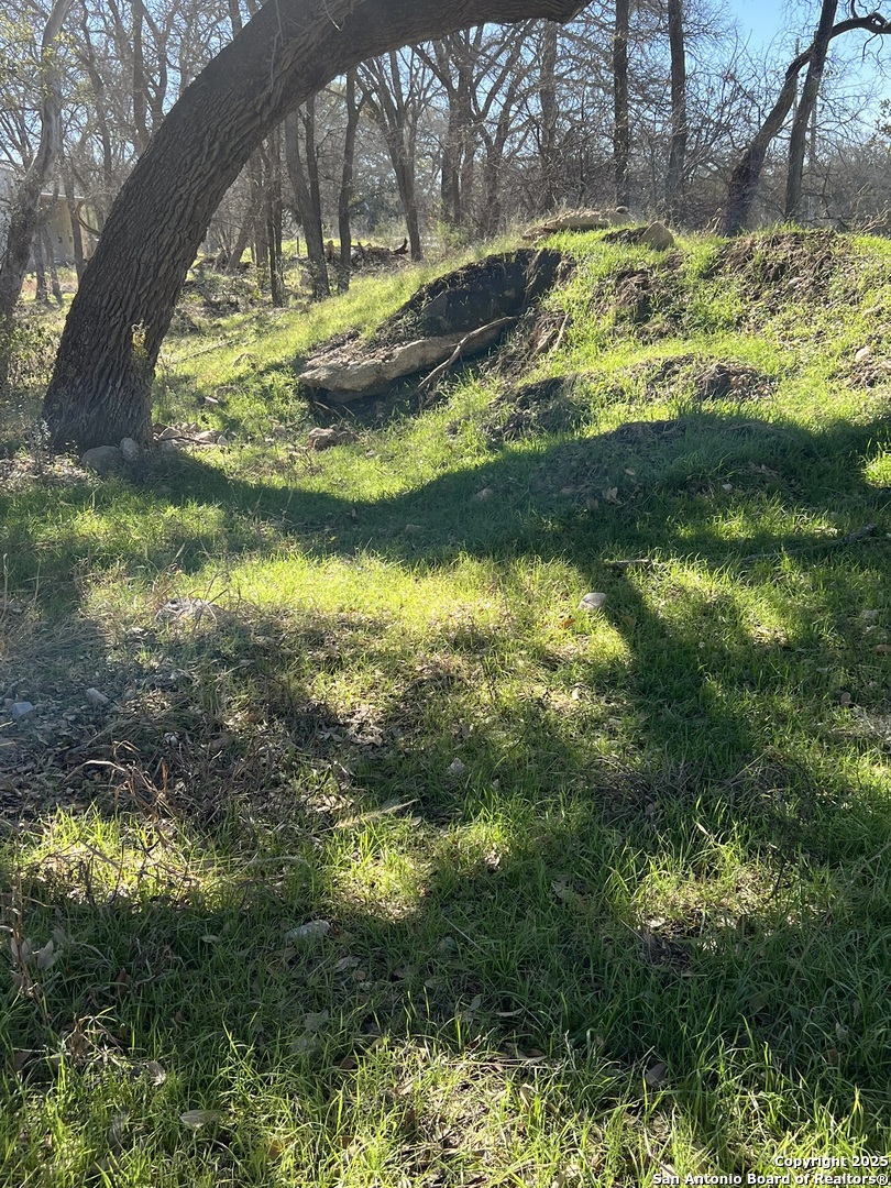 9565 Fm 1102 New Braunfels TX 78130