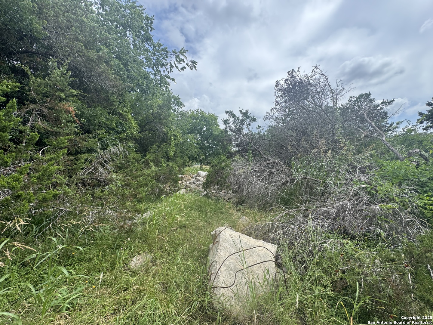 Lot 10 Browning San Antonio TX 78260