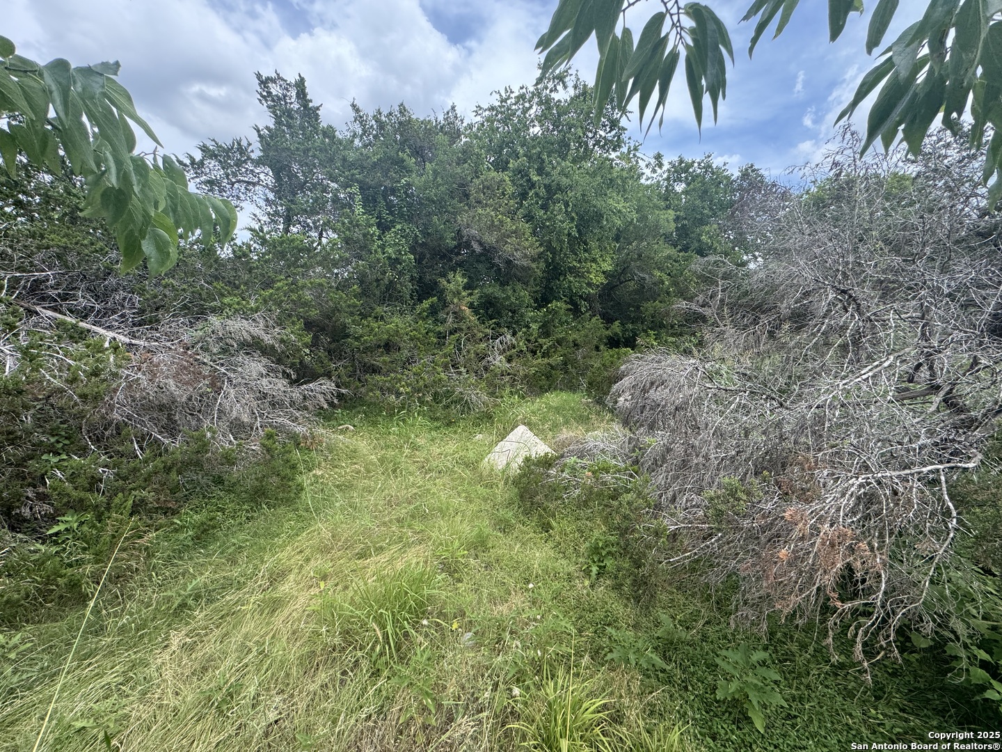 Lot 10 Browning San Antonio TX 78260