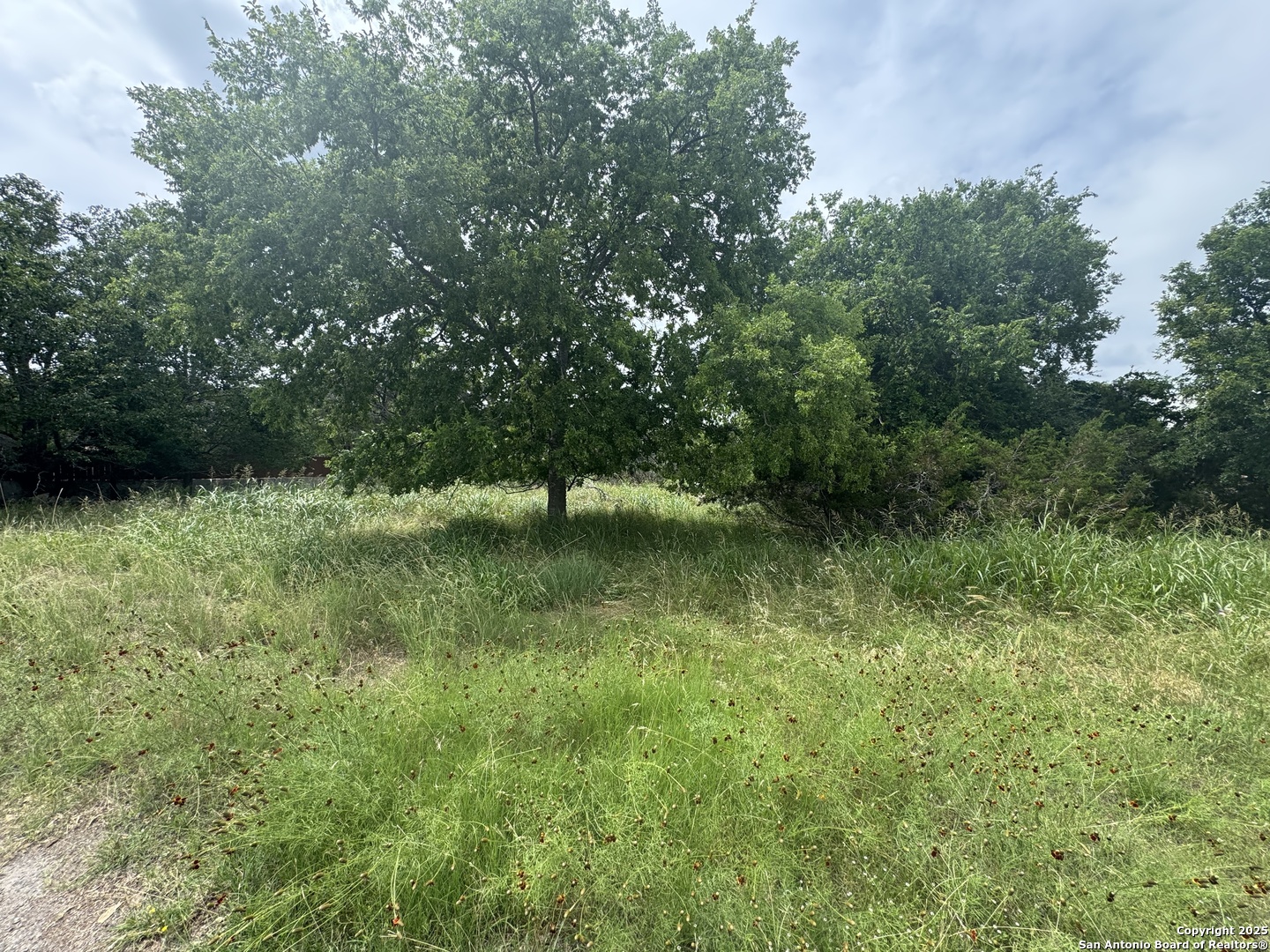Lot 10 Browning San Antonio TX 78260