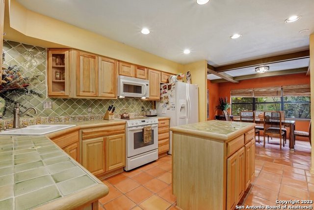 1807 La Sombra Drive San Antonio TX 78209