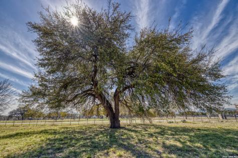 1029 State Highway 55 Camp Wood TX 78833