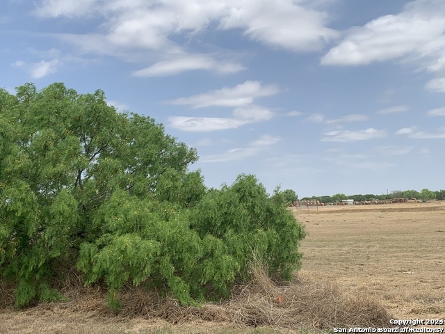 0 Highway 16 Jourdanton TX 78026