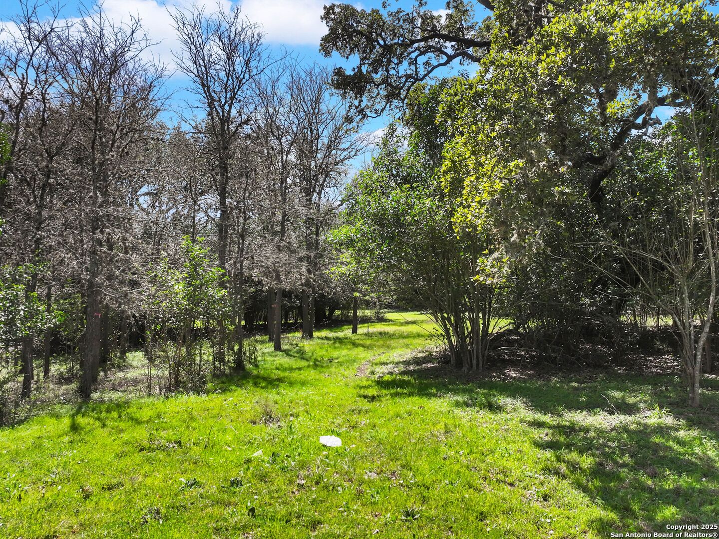 116 Bess Street Boerne TX 78006