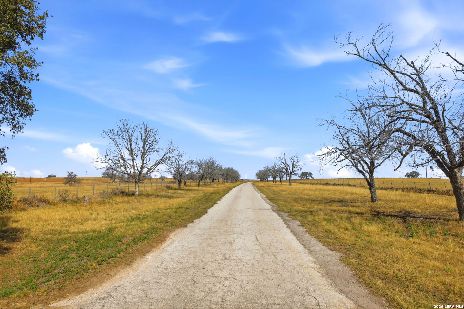 4456 Fm 536 Pleasanton TX 78064