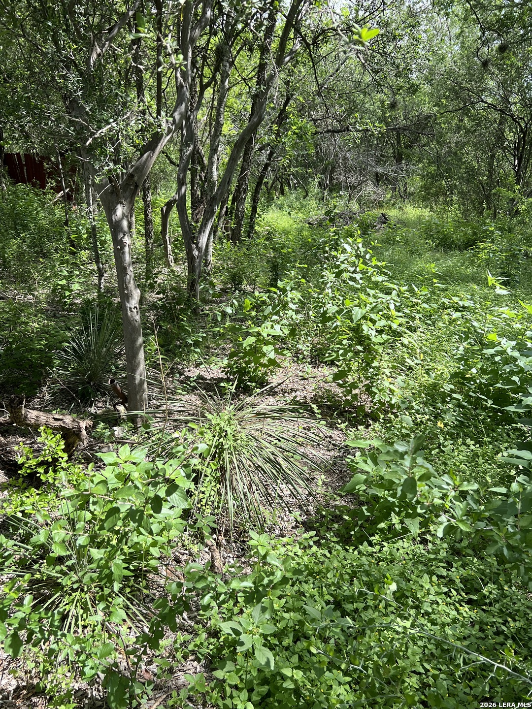 2307 Grosenbacher Road San Antonio TX 78245