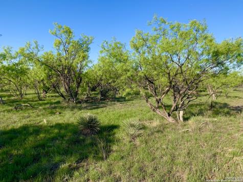 4703 Scenic Lake Drive Schertz TX 78154