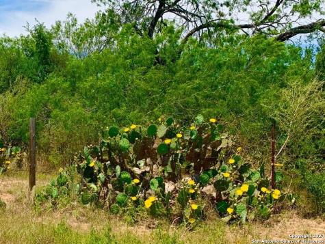 4703 Scenic Lake Drive Schertz TX 78154