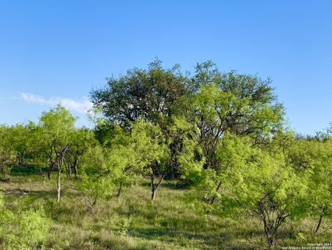 4703 Scenic Lake Drive Schertz TX 78154