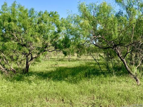 4703 Scenic Lake Drive Schertz TX 78154
