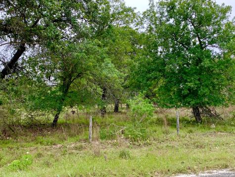 4703 Scenic Lake Drive Schertz TX 78154