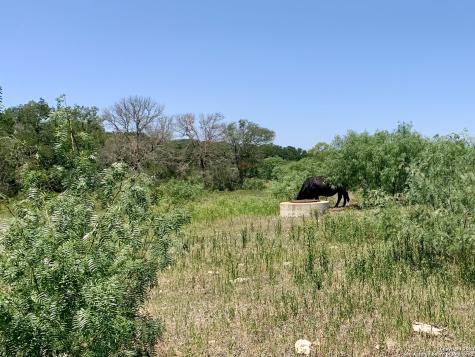 4703 Scenic Lake Drive Schertz TX 78154