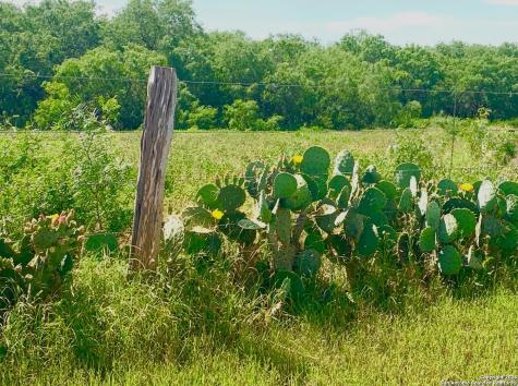 4703 Scenic Lake Drive Schertz TX 78154