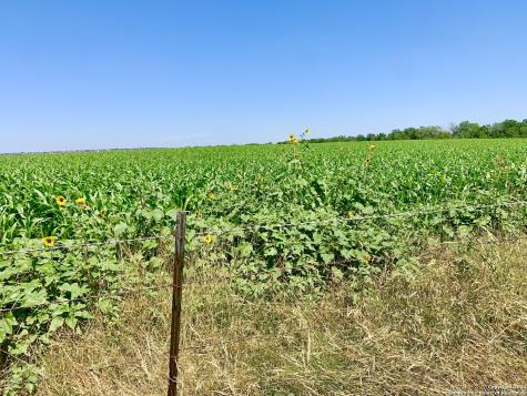 4703 Scenic Lake Drive Schertz TX 78154