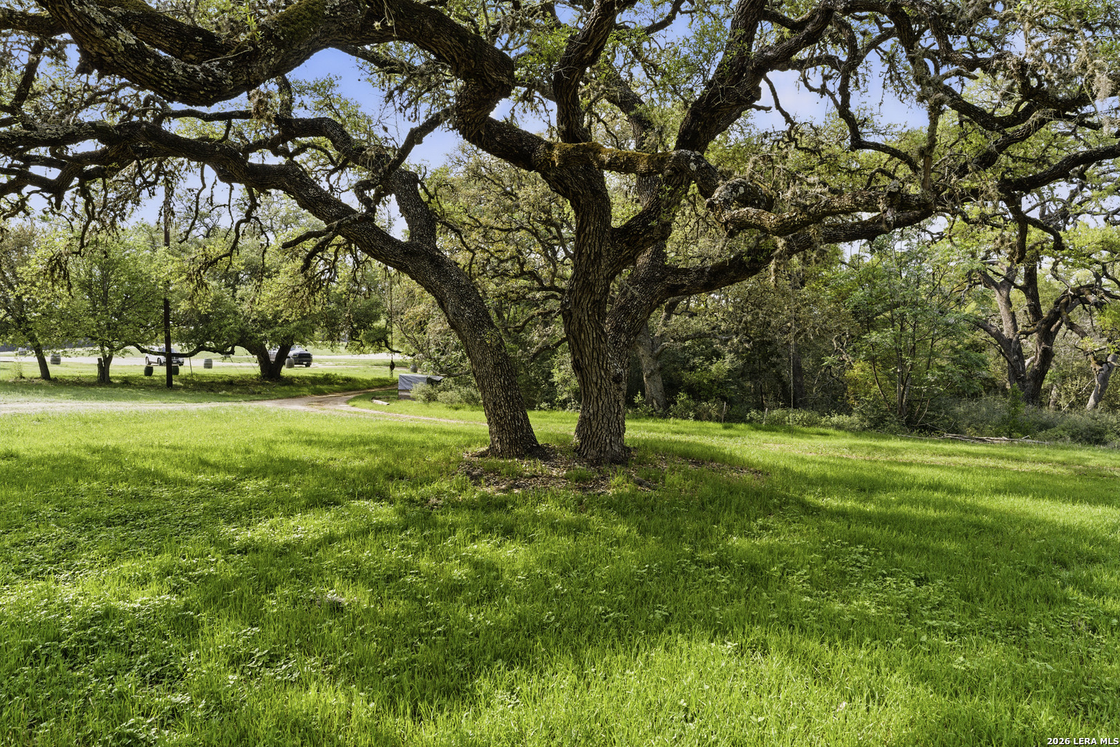 New Braunfels TX 78132