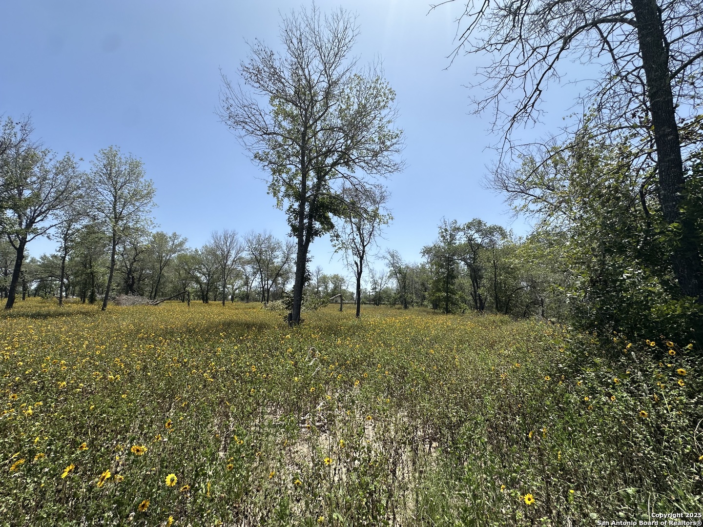 00 Priest Road San Antonio TX 78112