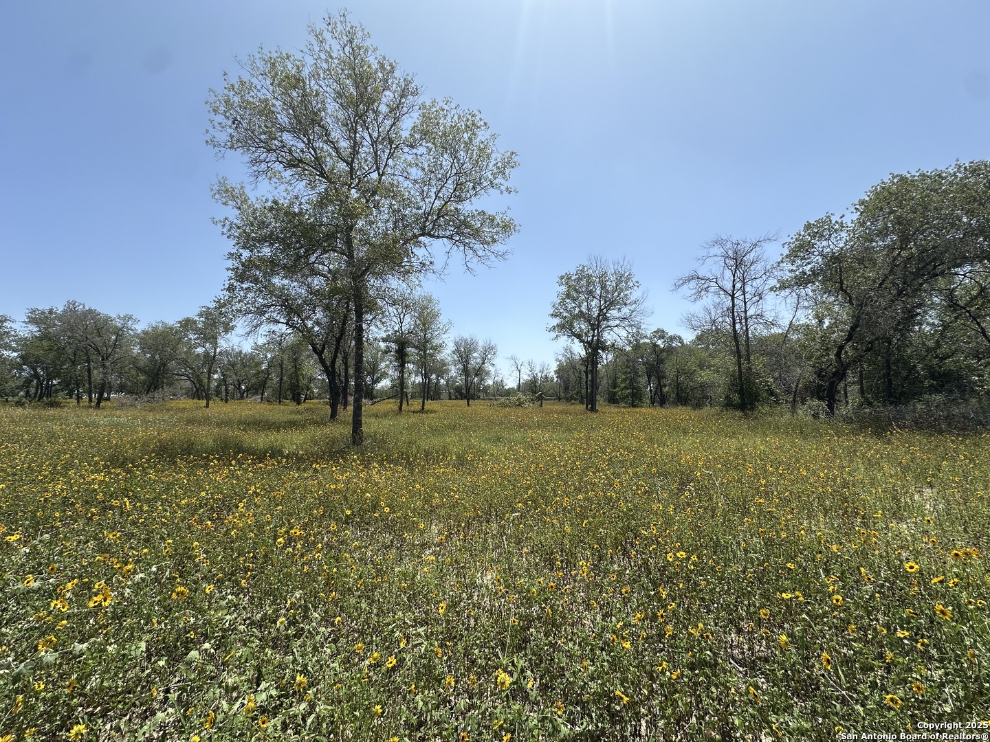 00 Priest Road San Antonio TX 78112